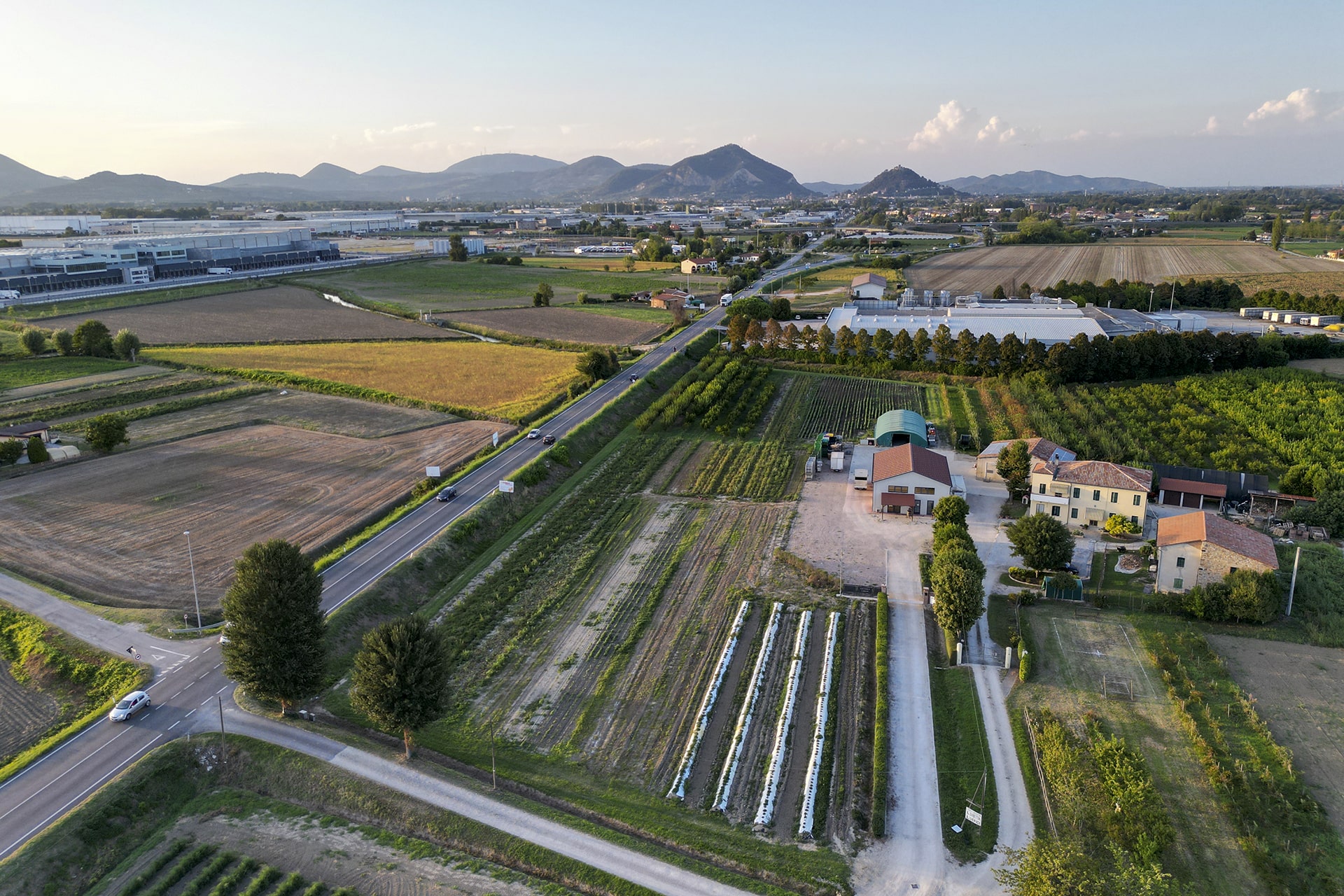 Frutta e Verdura a KM0